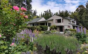 Star Dream Manor